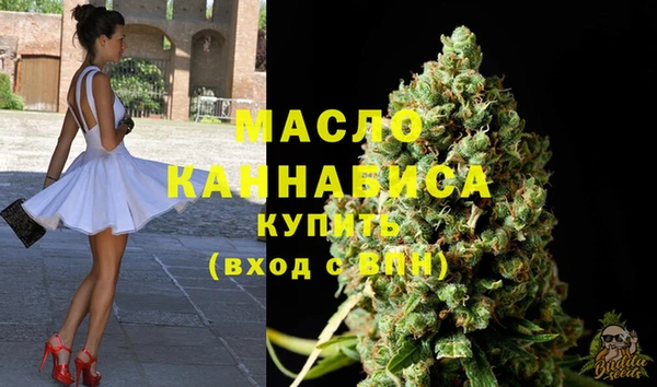 таблы Гусев