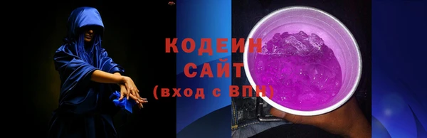 таблы Гусев