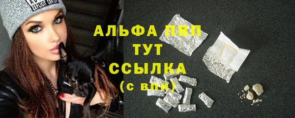 таблы Гусев