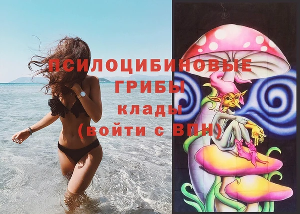 твердый Гусиноозёрск