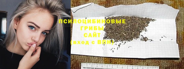 твердый Гусиноозёрск