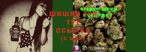 таблы Гусев