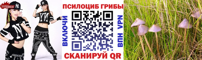 Купить закладки  Кизляр  Псилоцибиновые грибы ЛСД 